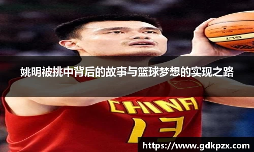 中欧体育官网