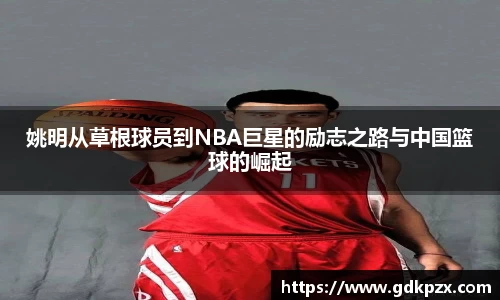 中欧体育