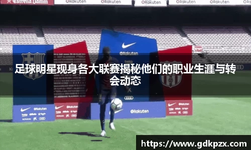 中欧体育平台