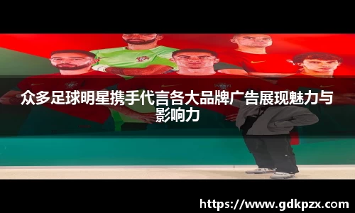 中欧体育官网