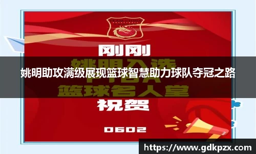 中欧体育