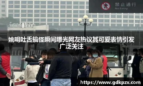 中欧体育