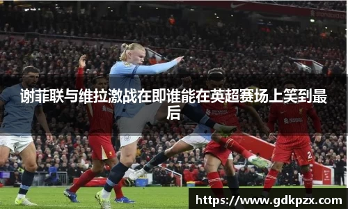 中欧体育平台
