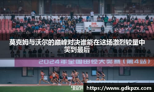 中欧体育